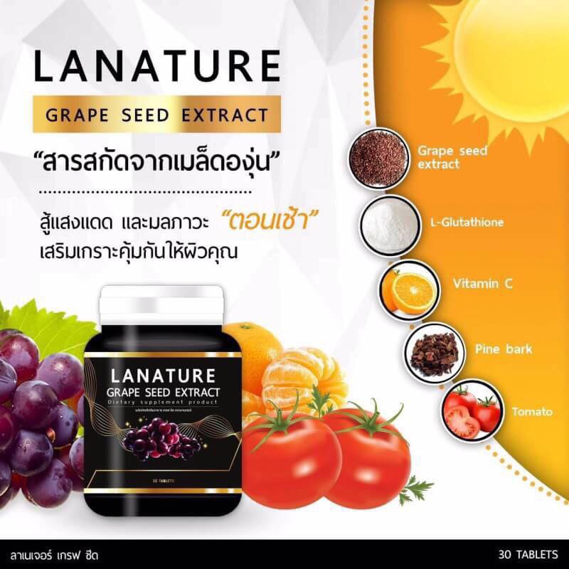 lanature-grape-seed-extract-สารสกัดจากเมล็ดองุ่น