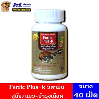 วิตามินบำรุงเลือด Ferric Plus-k วิตามินสำหรับสุนัข/แมว-บำรุงเลือด40เม็ด