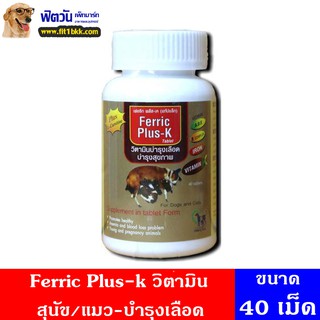 Ferric Plus-k วิตามินบำรุงเลือด บรรจุ 40 เม็ด