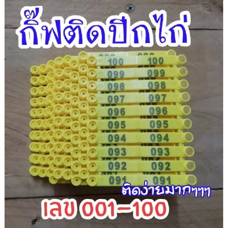 กิ๊ฟติดปีกไก่-ทำประวัติไก่-สีเหลือง-100ตัว-เลข001-100