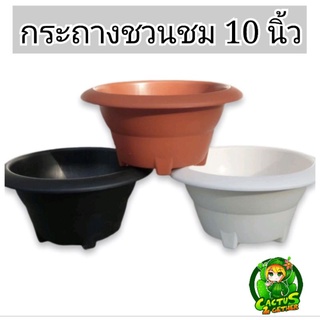 กระถางทรงอ่างชวนชม/บอนไซขนาด10