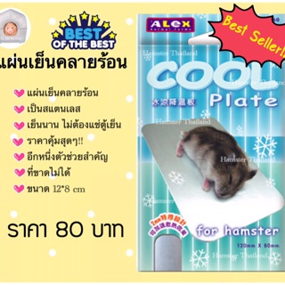 ราคาและรีวิวแผ่นเย็นคลายร้อน แฮมเตอร์