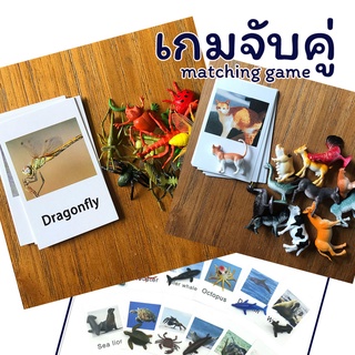 เกมจับคู่สัตว์ Matching Animals การ์ดภาพสัตว์ 12 ใบ โมเดลสัตว์ 12 ตัว