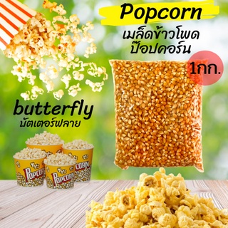 เม็ดข้าวโพด เมล็ดข้าวโพด ป็อปคอร์น (Popcorn) พันธุ์ butterfly นน.1,000กรัม