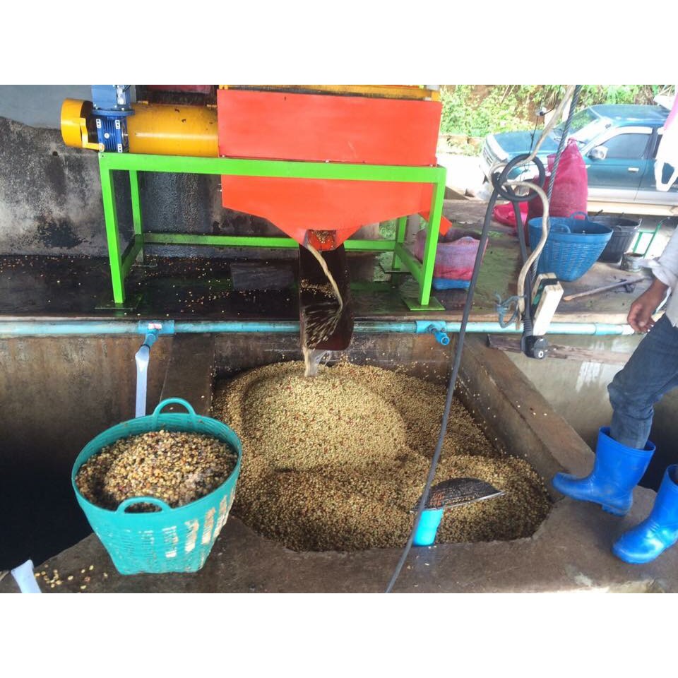 กาแฟคั่วสด-ดอยช้าง-ออร์แกนิค-คั่วเข้มชนิดเม็ด-ส่งตรงจากเกษตรกร-ขนาด-500-g-doichang-organic-coffee-roasted