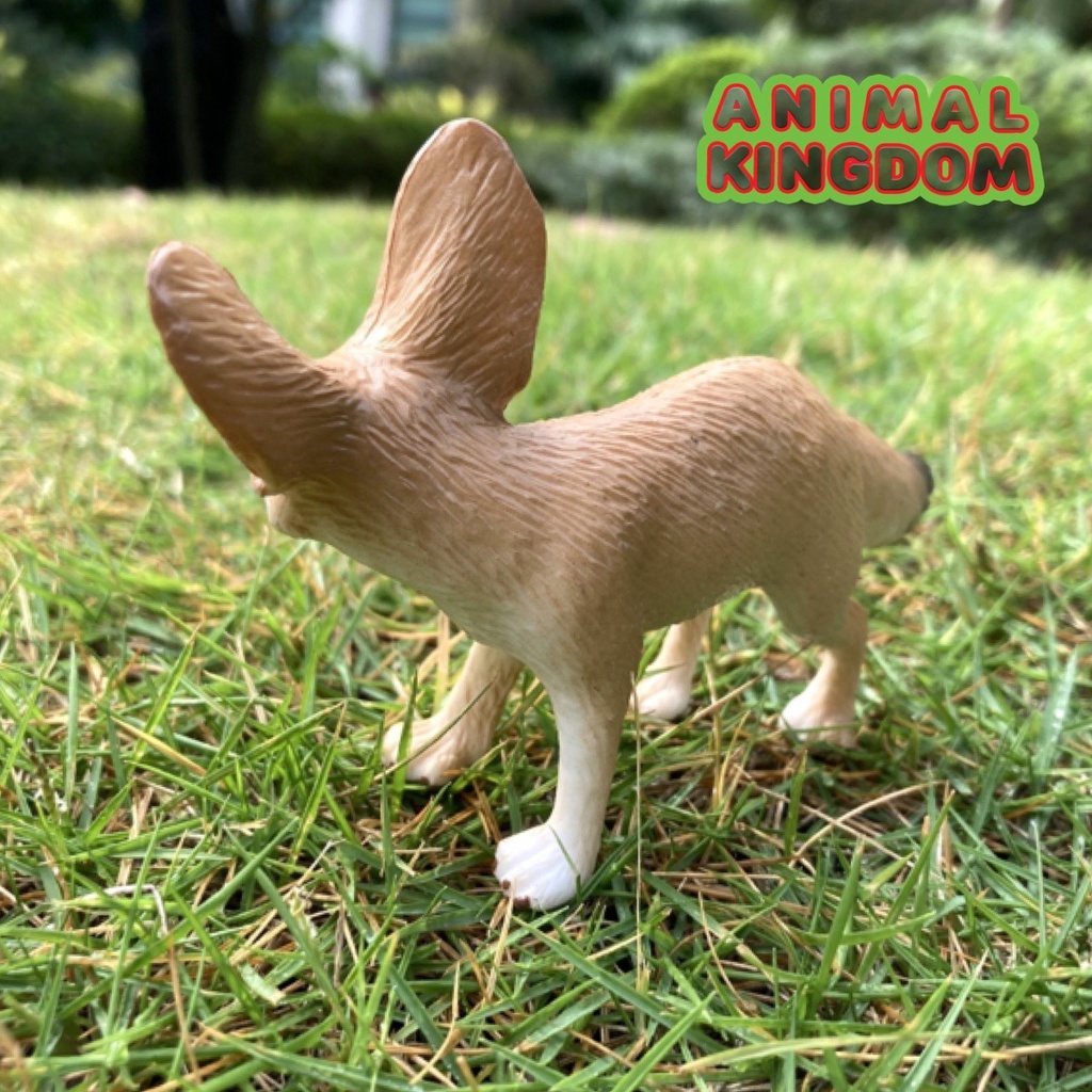 animal-kingdom-โมเดลสัตว์-หมาจิ้งจอกเฟนเนก-ขนาด-11-50-cm-จากหาดใหญ่