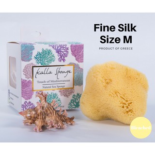 ภาพหน้าปกสินค้าฟองน้ำธรรมชาติ ชนิด Fine Silk ขนาด M สีเหลือง (FREE EMS!!) ที่เกี่ยวข้อง