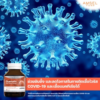 ภาพขนาดย่อของภาพหน้าปกสินค้าAmsel Quercetin 30 Cap แอมเซล เควอซิติน ช่วยยังยั้งป้องกันไวรัสเข้าสู่ร่างกาย 30 แคปซูล จากร้าน amsel.official บน Shopee ภาพที่ 3