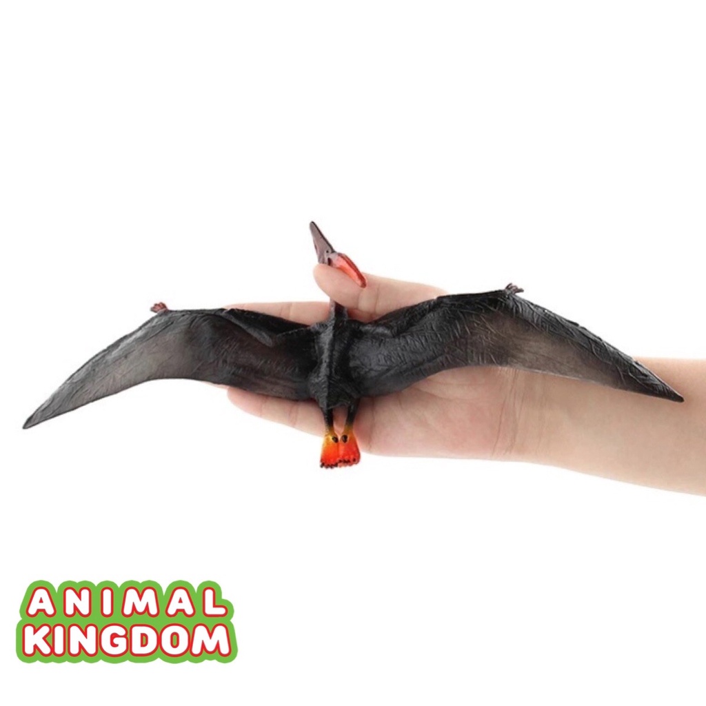 animal-kingdom-โมเดลไดโนเสาร์-pterosaurus-ดำ-ขนาด-32-50-cm-จากหาดใหญ่