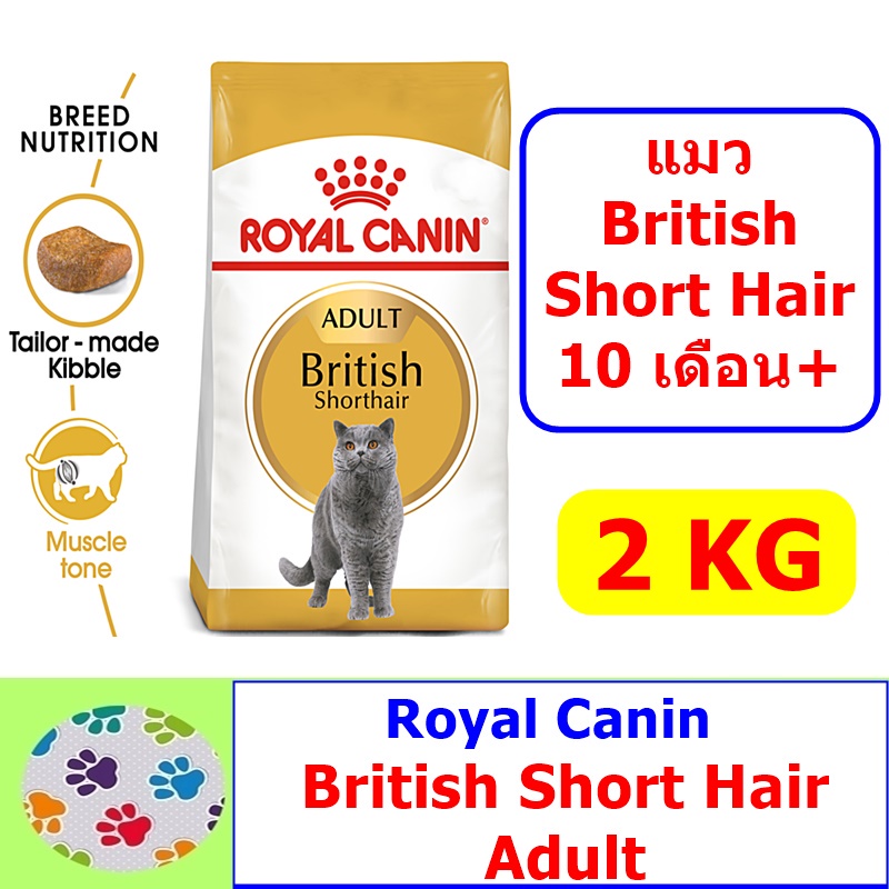 royal-canin-british-short-hair-adult-2-kg-อาหารเม็ดแมว-british-short-hair-ขนาด-2-kg