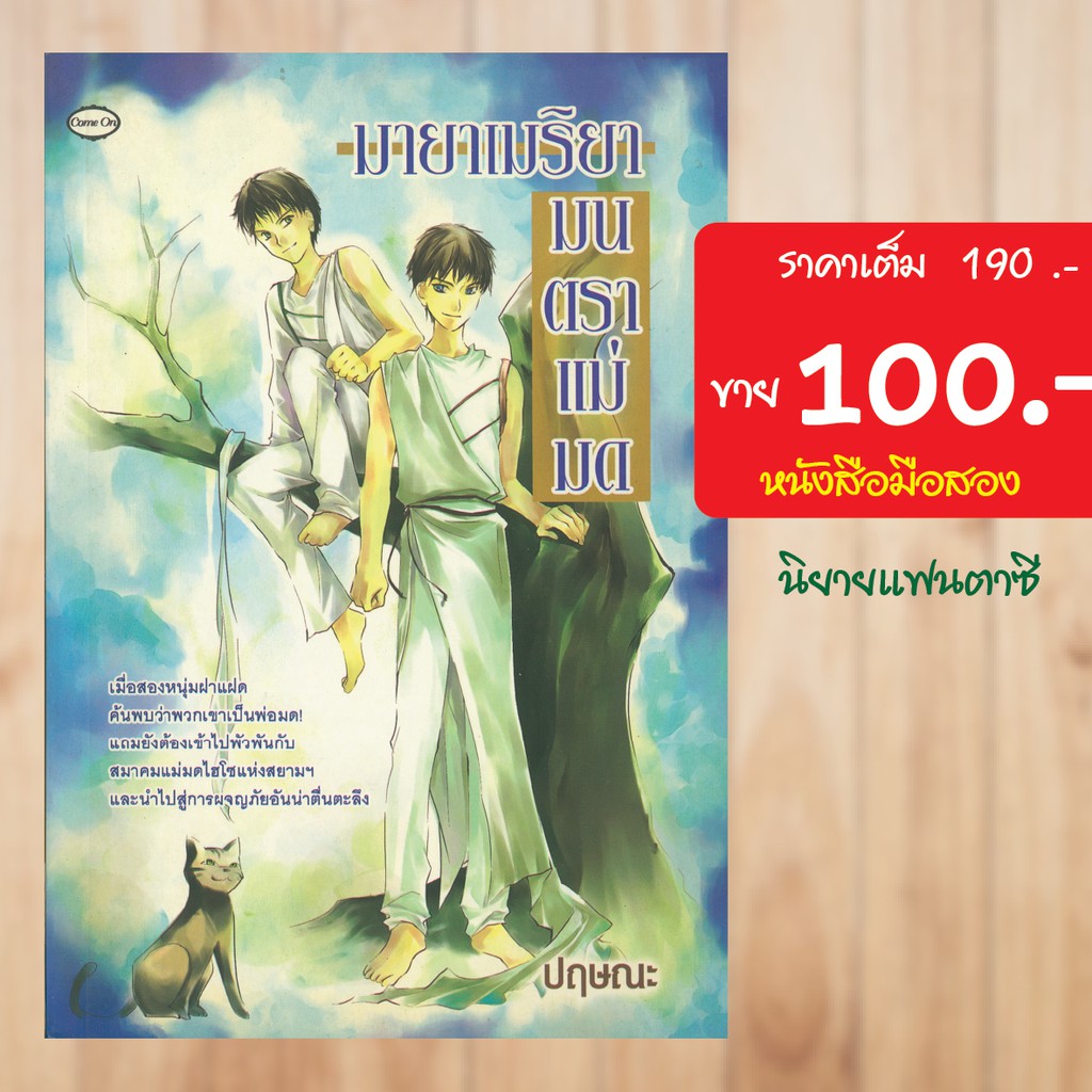 แฟนตาซี-มายาเมริยา-มนตราแม่มด-หนังสือมือสอง