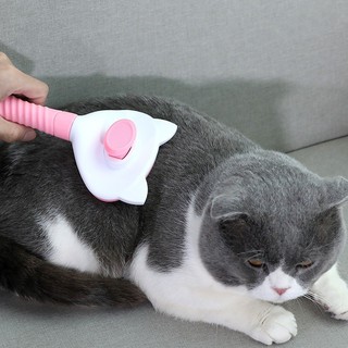 หวีแปรงนวดเก็บขนแมว Comb brush cat fur keypad