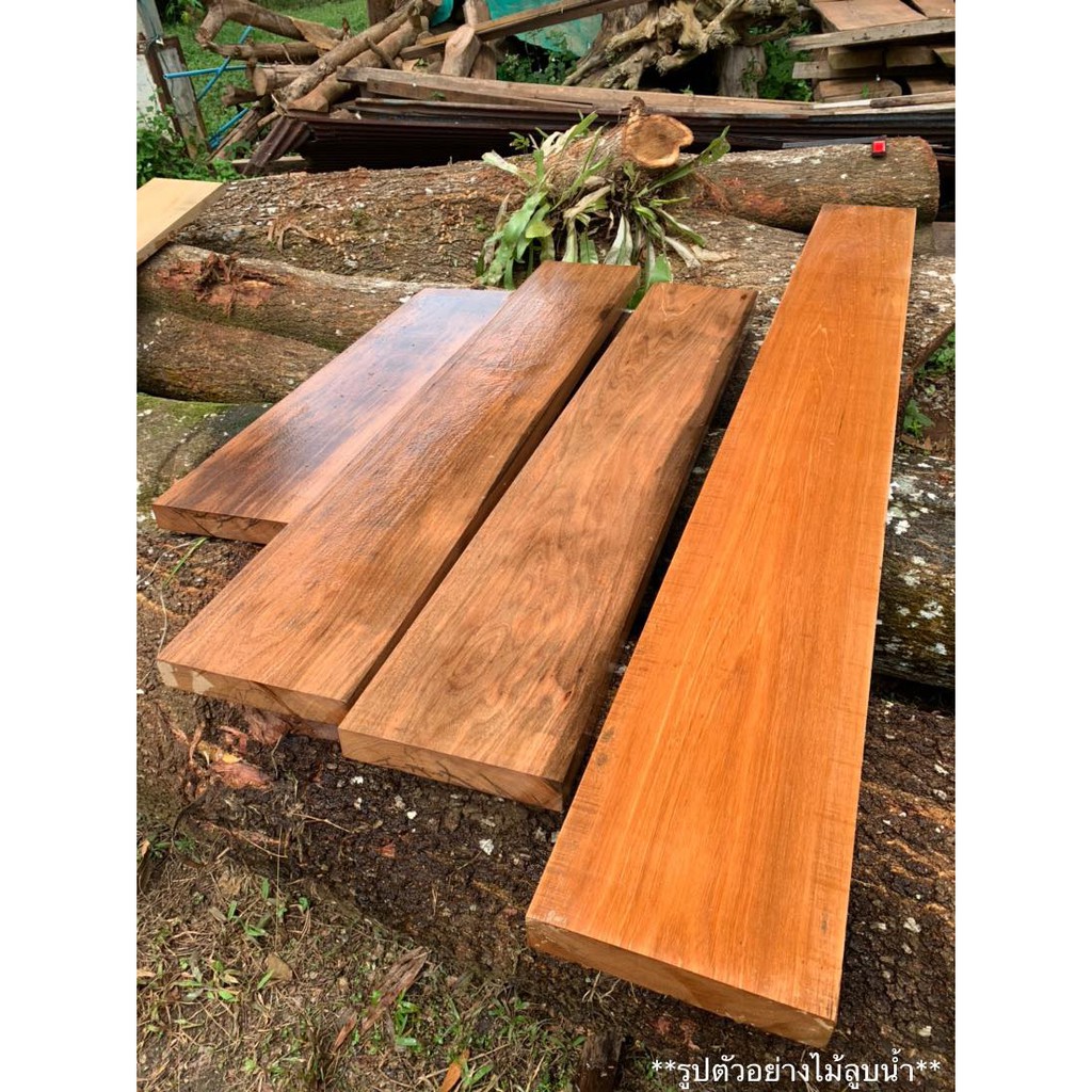 ไม้ตะเคียน(Wood) 2