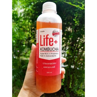 ภาพหน้าปกสินค้าLife+ KOMBUCHA raw organic 330ml คอมบูชา คอมบูชะ ชาหมัก ดีท็อกซ์ โพรไบโอติก คอมบูฉะ probiotic ต้านอนุมูลอิสระ ท้องผูก ที่เกี่ยวข้อง