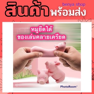 หมูชมพูนุ่มนิ่ม Lala Pig หมูยืด ของเล่น ของสะสม ของคลายเครียด บีบ ยืด หมูน่ารัก ปีหมู ของขวัญ