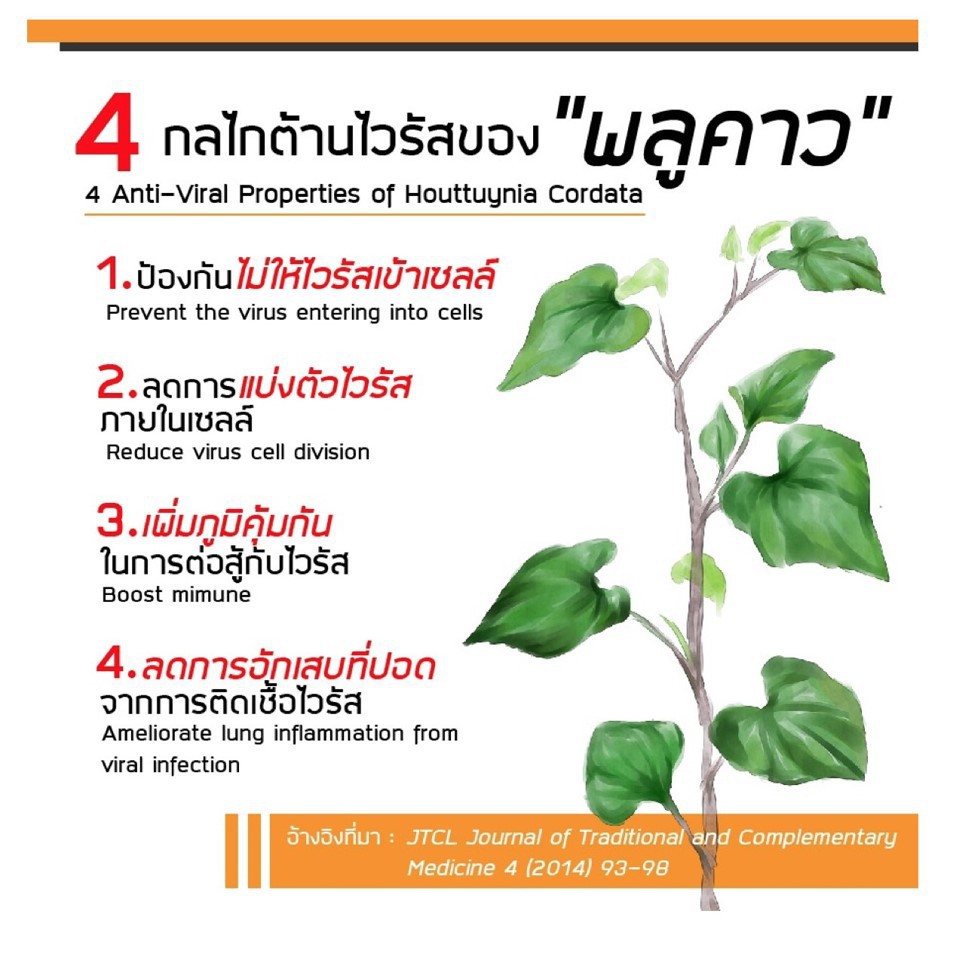 ส่งฟรี-วิตามิน-อาหารเสริม-ภูมิแพ้-เป็นหวัด-เบต้า-พลูคาว-ผสมเบต้า-กลูแคน-กิฟฟารีน-beta-plu-kao-giffarine