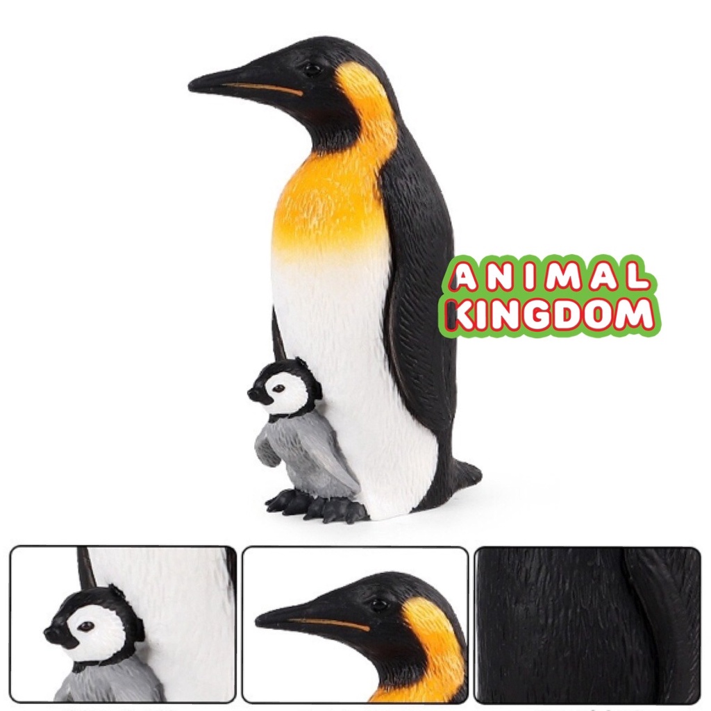 animal-kingdom-โมเดลสัตว์-นกเพนกวินจักรพรรดิ-ขนาด-14-00-cm-จากสงขลา