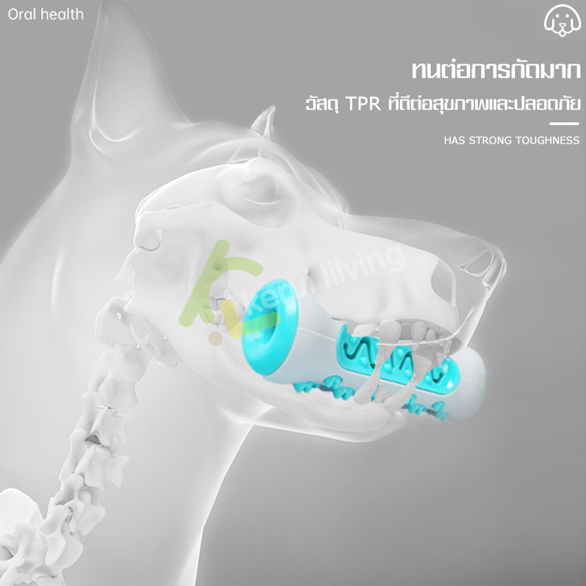 harmcat-กระดูกแปรงฟัน-กระดูกสุนัข-กระดูกของเล่น-ช่วยลดกลิ่นปาก-ยางกัดแปรงฟันสุนัข-ของเล่นฝึกเคี้ยว