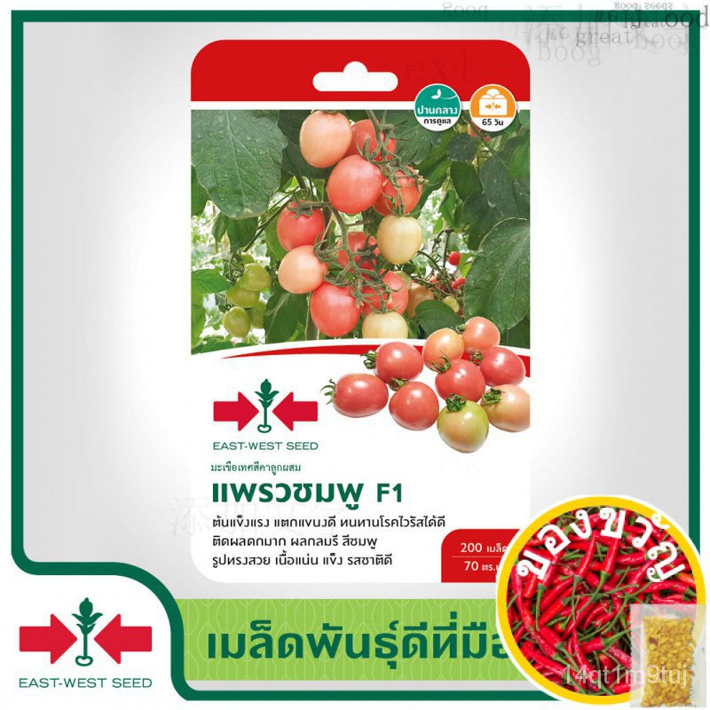 เมล็ดอวบอ้วน100-east-west-seed-เมล็ดพันธุ์มะเขือเทศ-tomato-seeds-แพรวชมพู-f1-เมล็ดพันธุ์ผัก-เมล็ดพันธุ์-ผักสวนครัว-เมล