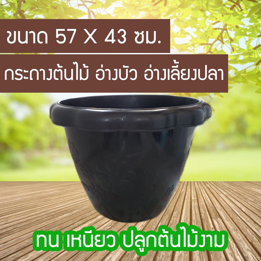 กระถางไม้ประดับขนาดใหญ่-อ่างบัว-กระถางต้นไม้พลาสติกเกรดa