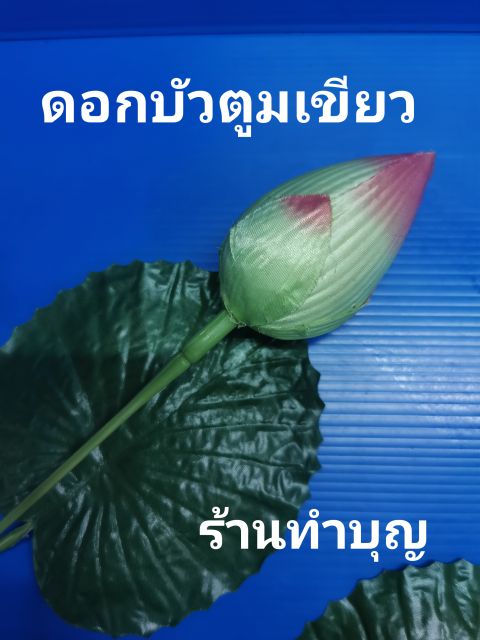 ดอกบัวตูม-ดอกบัว-ดอกบัวหลวง-ดอกไม้ประดิษฐ์-ดอกบัวขาว-ดอกบัวเหลือง-ชมพู-เขียว-ดอกบัวแดง-ดอกบัวไหว้พระ-ดอกบัวก้านยาว