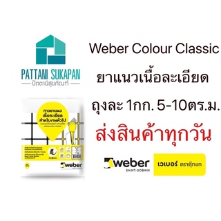 Weber กาวยาแนวเนื้อละเอียด ตราตุ๊กแก