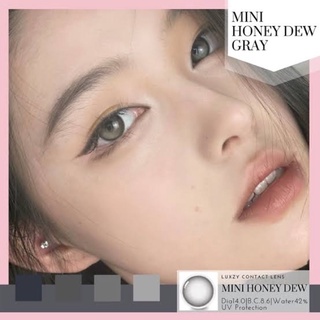 ✨ Honey Dew Gray ขนาดมินิ -  Mini☀️กรองแสง uv จดทะเบียนถูกต้อง 🇰🇷เลนส์สัญชาติเกาหลี🇰🇷