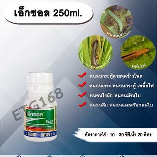 เอ็กซอล 250ml. สไปนีโทแรม สารกำจัดแมลง กำจัดเพลี้ยไฟ กำจัดหนอน หนอนกระทู้ลายจุดข้าวโพด หนอนเจาะ หนอนใยผัก หนอนคืบ