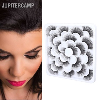 🔥🔥  10 Pairs False Eyelashes Natural Looking Man Made Fiber Curling Thick Long Fake Eye Lashes for Women