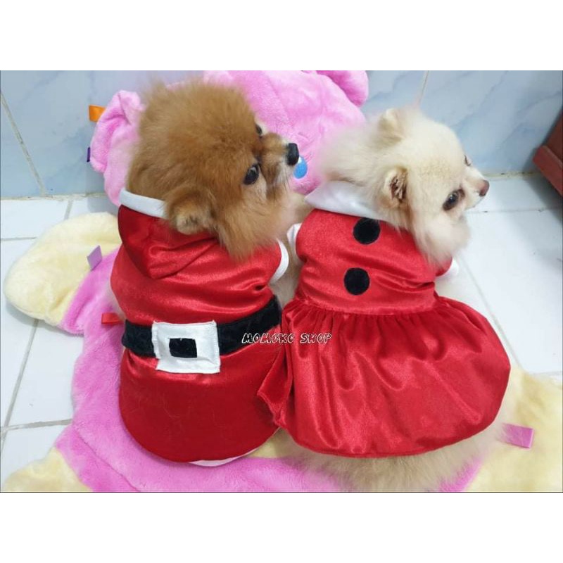 ภาพหน้าปกสินค้าชุดคริสมาสน้องหมา-น้องแมว (สินค้าพร้อมส่ง) จากร้าน ganmpong บน Shopee