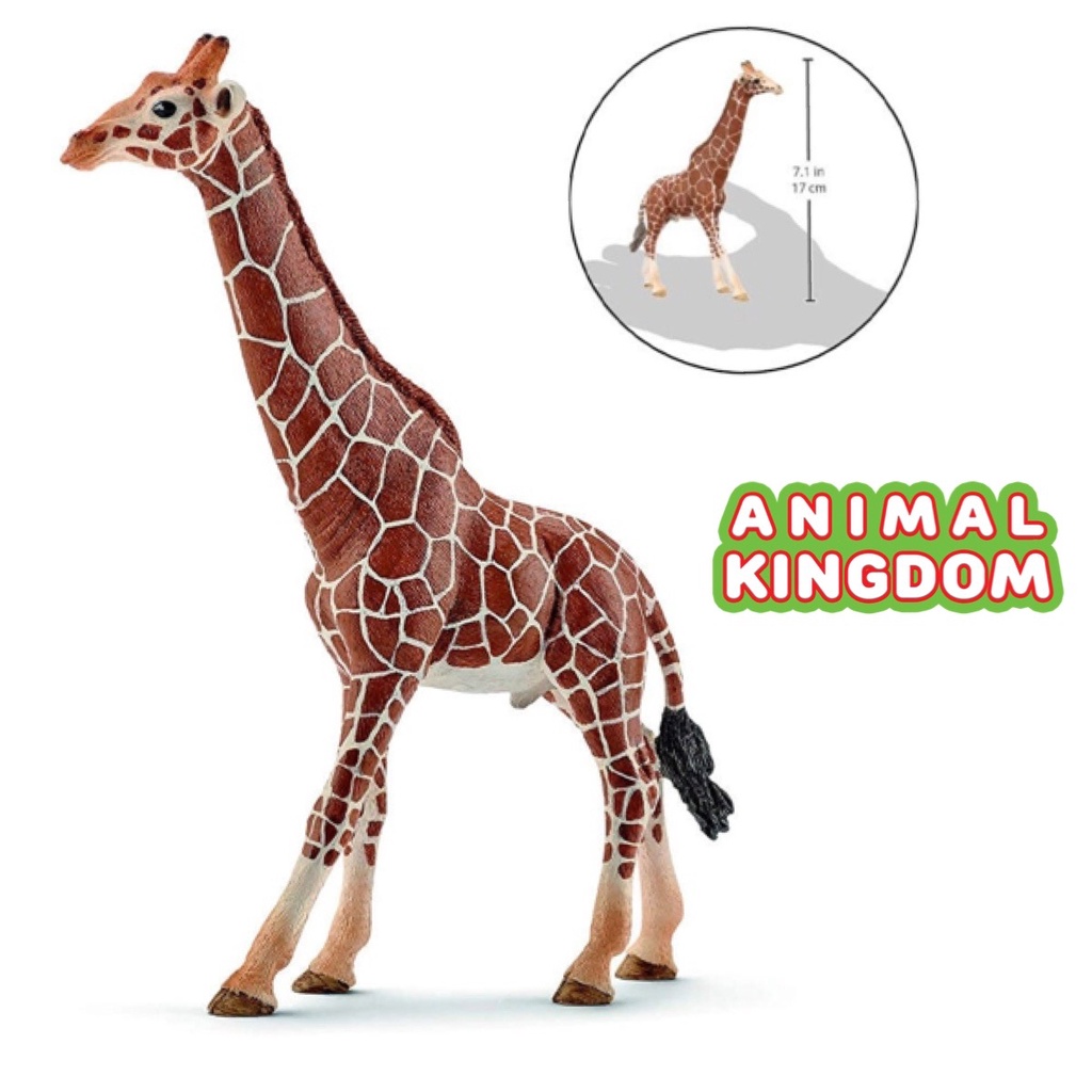 animal-kingdom-โมเดลสัตว์-ยีราฟ-ขนาด-17-00-cm-จากหาดใหญ่