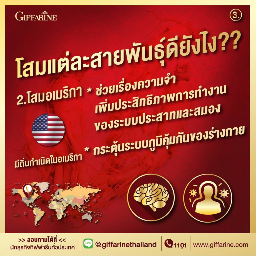 โสมเกาหลี-บำรุงร่างกาย-หัวใจแข็งแรง-ช่วยเสริมสมรรถภาพทางเพศ