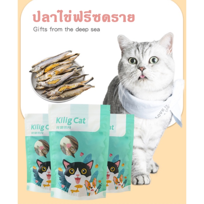 ปลาไข่แมว-15g-ปลาไข่ฟรีซดราย-ปลาไข่เต็มตัว-ขนมแมว-พร้อมส่ง