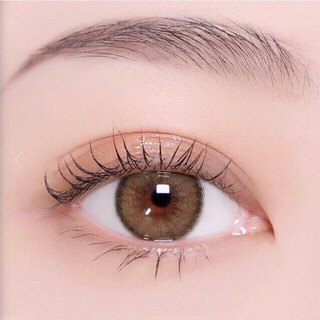 Mini Olivia Light Brown (1)(2) มินิ สีน้ำตาล น้ำตาล Kitty Kawaii ค่าอมน้ำสูง Contact Lens คอนแทคเลนส์ ค่าสายตา สายตาสั้น