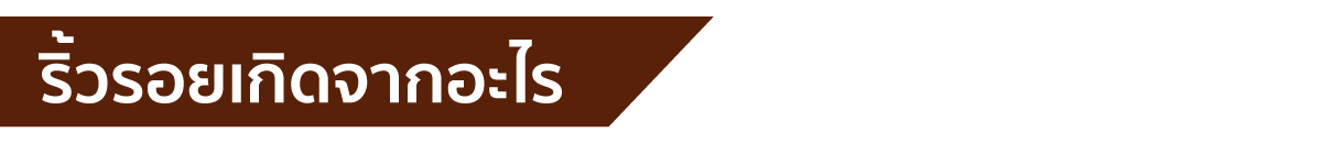 webp_image
