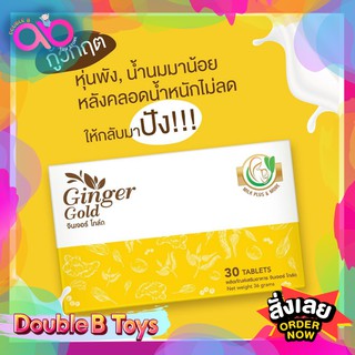 Milk Plus &amp; More  จินเจอร์​โกลด์ วิตามินเพิ่มน้ำนม (แบบเม็ด) ผลิตภัณฑ์บำรุงน้ำนมเหมาะสำหรับคุณแม่หลังคลอด