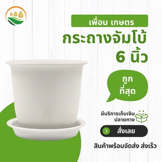 ภาพหน้าปกสินค้ากระถางต้นไม้ กระถาง กระถางต้นไม้พลาสติก minimal กระถางจัมโบ้ Jumbo ขนาด 6 นิ้ว สีขาว ที่เกี่ยวข้อง