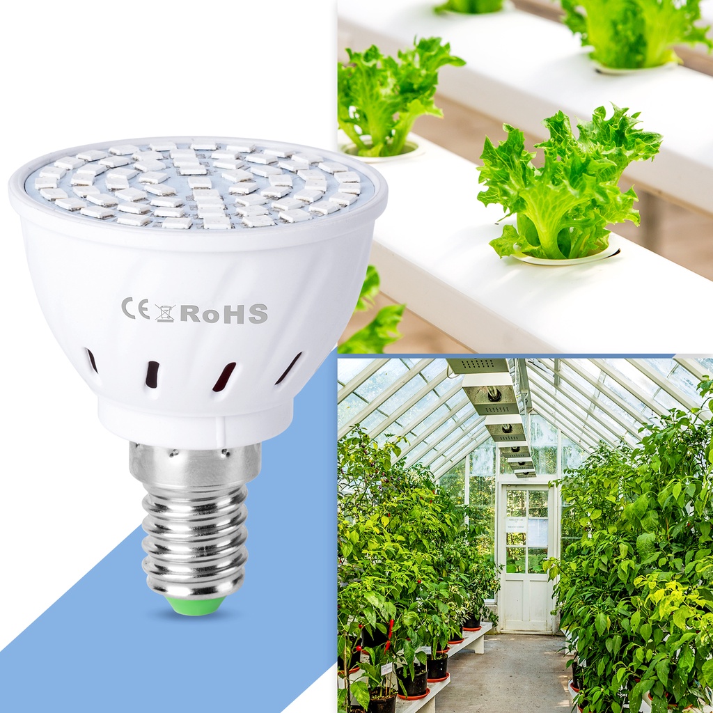 ภาพสินค้าLED E27 Plant Growth Light Bulb MR16 Plant Light E14 Hydroponic Growth Lamp B22 Seeds Planting LED GU10 Greenhouse Grow Lights จากร้าน wenni.th บน Shopee ภาพที่ 6