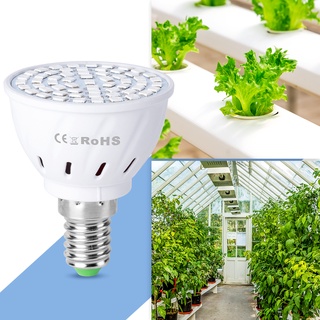 ภาพขนาดย่อของภาพหน้าปกสินค้าLED E27 Plant Growth Light Bulb MR16 Plant Light E14 Hydroponic Growth Lamp B22 Seeds Planting LED GU10 Greenhouse Grow Lights จากร้าน wenni.th บน Shopee ภาพที่ 6