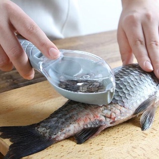 ที่ขอดเกล็ดปลา อุปกรณ์ครัว ที่ขูดเกล็ดปลา อุปกรณ์ขอดเกล็ดปลา ที่ขูดเกล็ดปลา