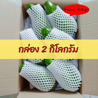 ภาพหน้าปกสินค้าอโวคาโด (กล่อง 2 กิโลกรัม) โครงการหลวงคัดเกรด A แก่จัด มัน  เหนียว อร่อยมาก ที่เกี่ยวข้อง