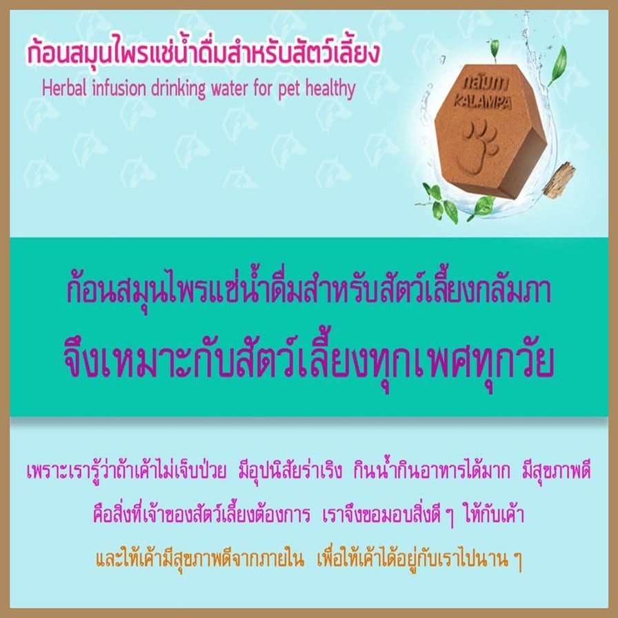 กลัมภา-สมุนไพรแช่น้ำดื่มสัตว์เลี้ยง-ลดกลิ่นปาก-กลิ่นตัว-ลดขนร่วง-และลดกลิ่นอึฉี่