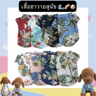 สินค้า PP-349 เสื้อฮาวายสุนัข เสื้อฮาวาย สัตว์เลี้ยงแสนน่ารักของคุณเดินทางแฟชั่นใหม่ ราคาถูก พร้อมส่งง🐶🤩😘👍🏻