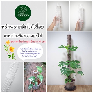 สินค้า หลักไม้เลื้อย/เสาไม้เลื้อย ขนาดใหญ่ เส้นผ่านศูนย์กลาง 6 ซม. แบบต่อเพิ่มความสูงได้ 🪴