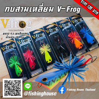 กบสามเหลี่ยม วี ฟร็อก V-Frog