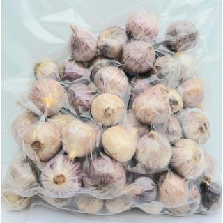 กระเทียมโทนแก่สด Fresh aged garlic สมุนไพรไทย สำหรับประกอบอาหารและรับประทานดิบเพื่อสุขภาพ น้ำหนัก 500 กรัม