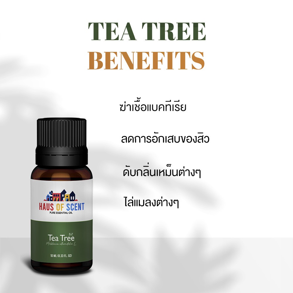 โปร-แพคคู่-น้ำมันหอมระเหย-ทีทรี-เปปเปอร์มินต์-แท้-10-ml-น้ำมันอโรม่า-pure-essential-oil-by-haus-of-scent