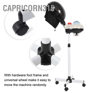 Capricorn315 Salon Hair Steamer Dyeing Perming Oil Treatment Hairdressing Care Machine