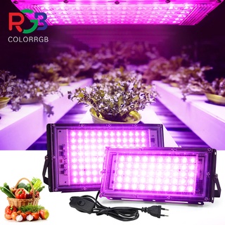 220V Full Spectrum LED Grow Light 50W 100W ไฟปลุกต้นไม้ ไฟช่วยต้นไม้ตัวเร็ว มีสวิตช์ปิดเปิด สายไฟยาว1.5โมตร