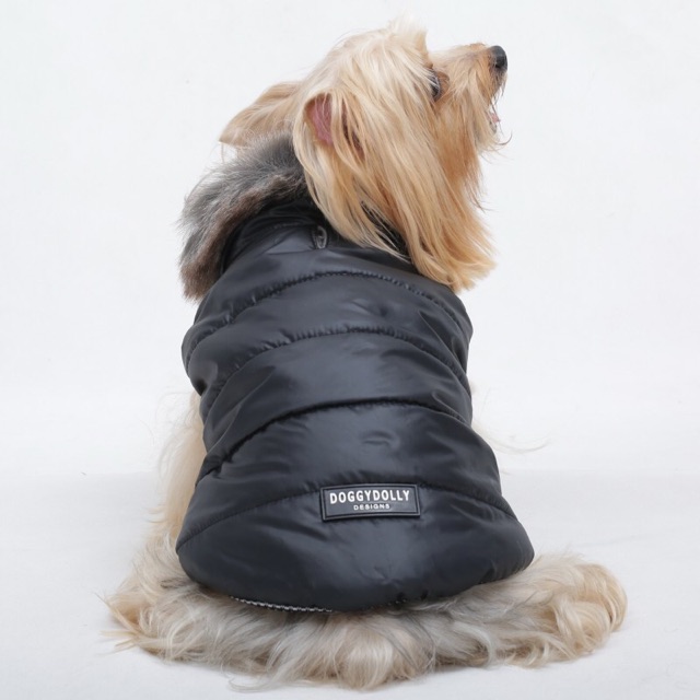 bigdog-pet-clothes-doggydolly-เสื้อผ้าหมาใหญ่-bigdog-เสื้อสุนัข-ชุดแฟชั่นหมา-เสื้อหนาว-เสื้อโค้ท-bd527